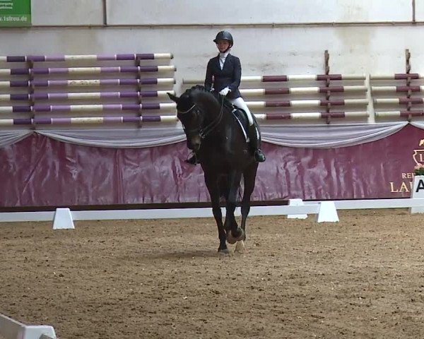 Reitturnier Eicherloh RH Laurent/Obb. 2024