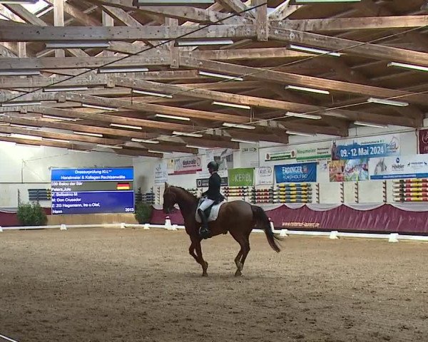 Reitturnier Eicherloh RH Laurent/Obb. 2024