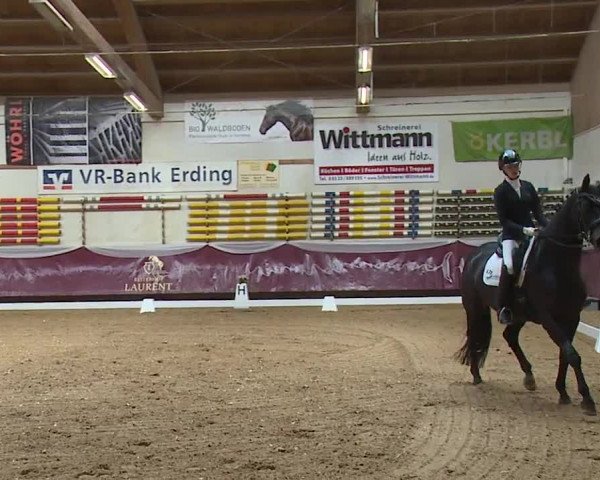 Reitturnier Eicherloh RH Laurent/Obb. 2024