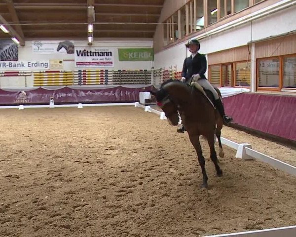 Reitturnier Eicherloh RH Laurent/Obb. 2024