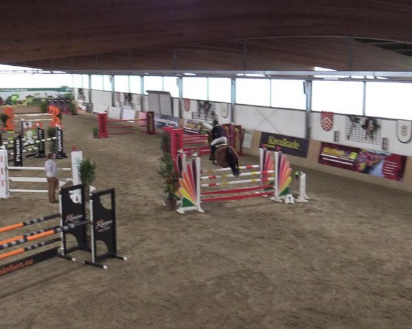 Reitturnier Borgholzhausen-Westbarthausen 2024