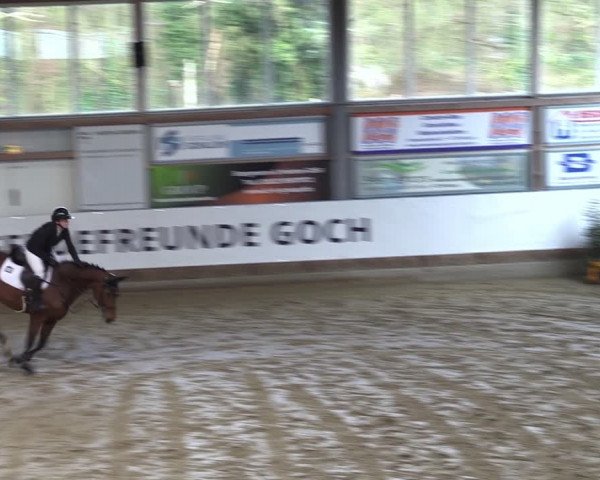 Reitturnier Goch 2024