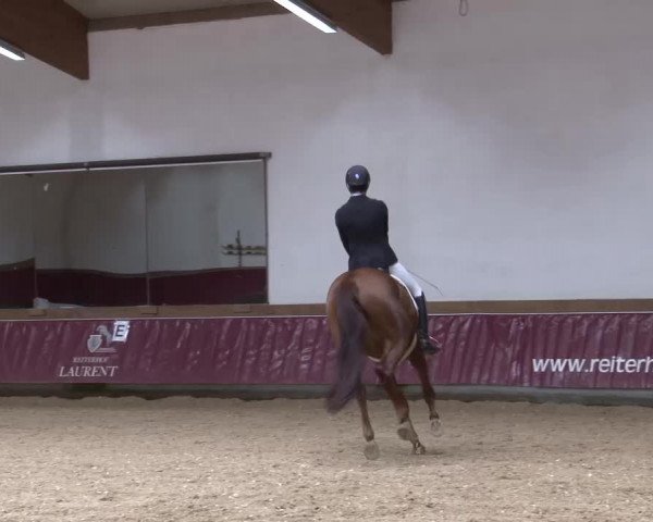 Reitturnier Eicherloh RH Laurent/Obb. 2024