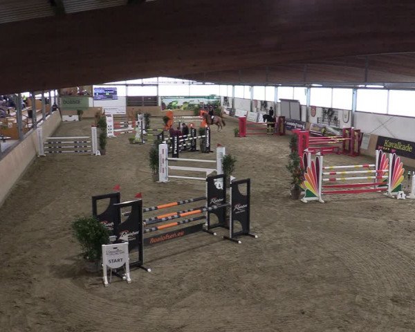 Reitturnier Borgholzhausen-Westbarthausen 2024