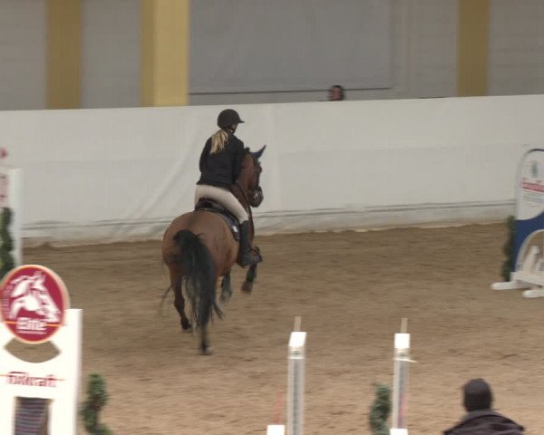 Reitturnier Stadl-Paura 2024