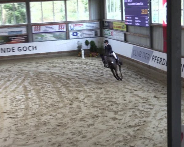 Reitturnier Goch 2024