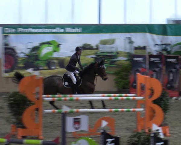 Reitturnier Borgholzhausen-Westbarthausen 2024