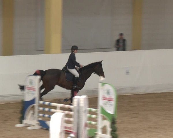 Reitturnier Stadl-Paura 2024