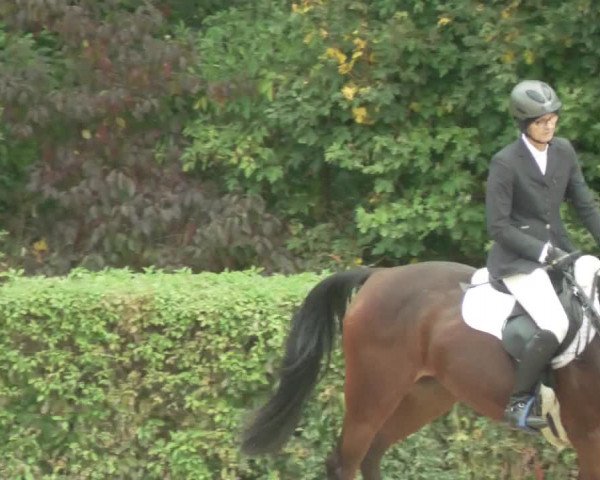 Reitturnier Böblingen 2021