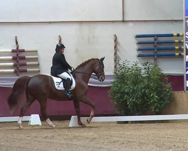 Reitturnier Eicherloh RH Laurent/Obb. 2024