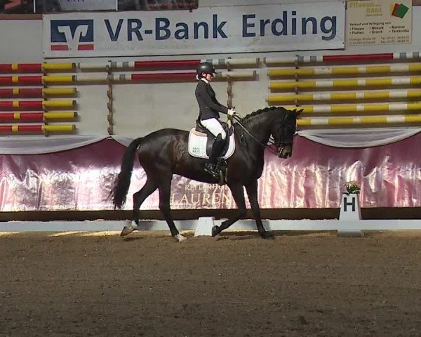 Reitturnier Eicherloh RH Laurent/Obb. 2024