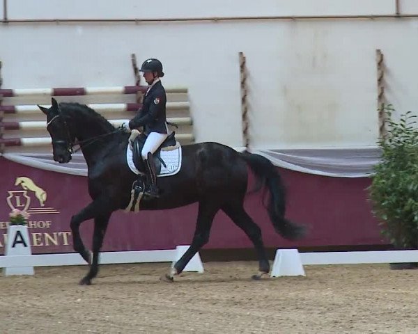 Reitturnier Eicherloh RH Laurent/Obb. 2024