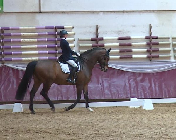 Reitturnier Eicherloh RH Laurent/Obb. 2024