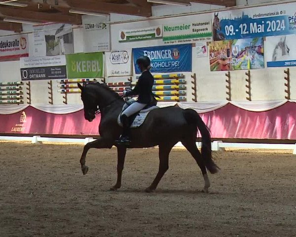 Reitturnier Eicherloh RH Laurent/Obb. 2024
