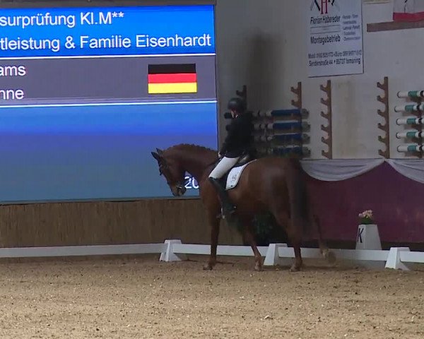 Reitturnier Eicherloh RH Laurent/Obb. 2024