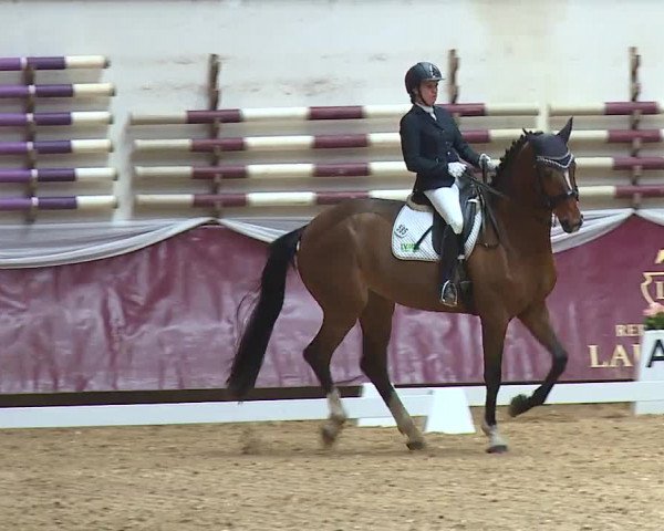 Reitturnier Eicherloh RH Laurent/Obb. 2024