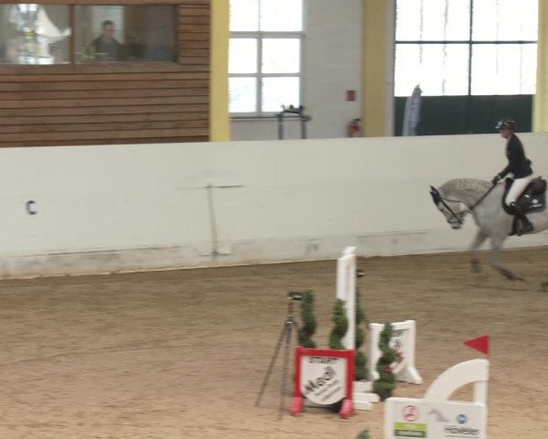 Reitturnier Stadl-Paura 2024