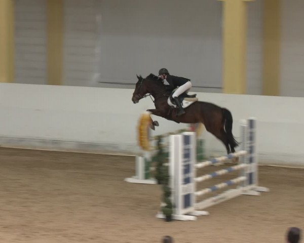 Reitturnier Stadl-Paura 2024