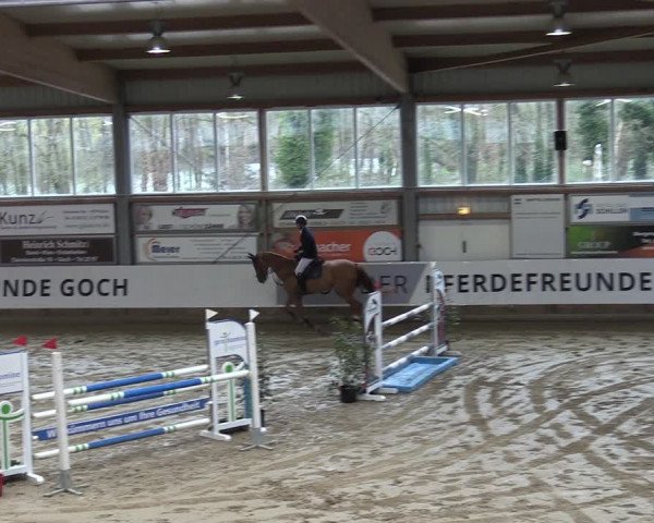 Reitturnier Goch 2024