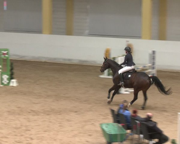 Reitturnier Stadl-Paura 2024