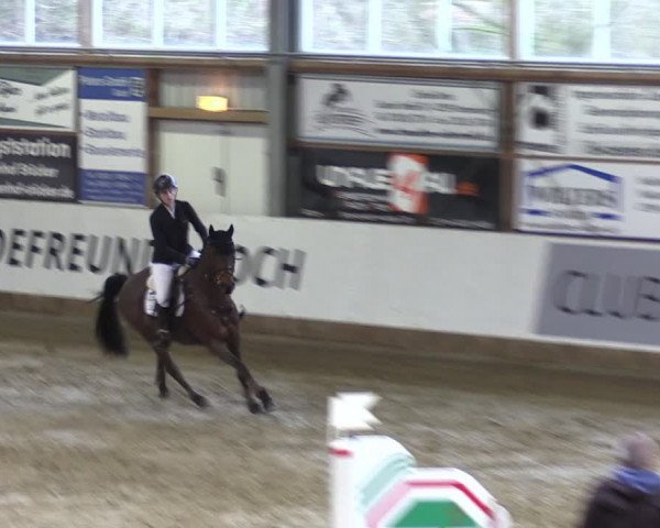 Reitturnier Goch 2024