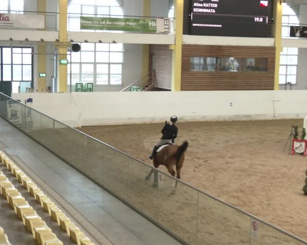 Reitturnier Stadl-Paura 2024