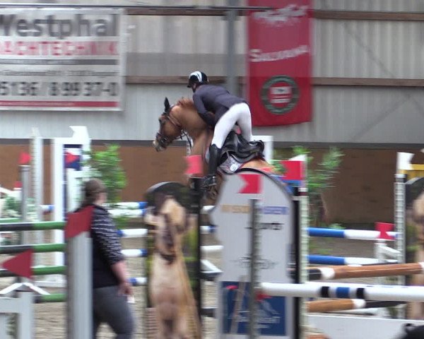 Reitturnier Schlieckau 2024