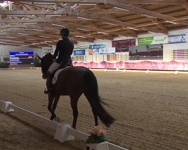 Reitturnier Eicherloh RH Laurent/Obb. 2024