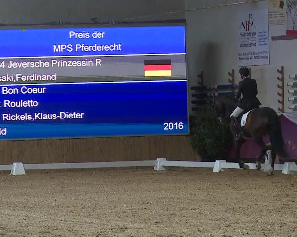 Reitturnier Eicherloh RH Laurent/Obb. 2024
