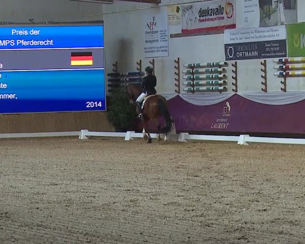 Reitturnier Eicherloh RH Laurent/Obb. 2024