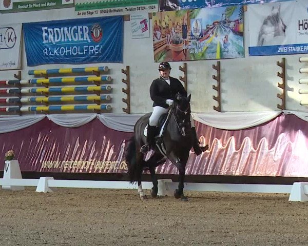 Reitturnier Eicherloh RH Laurent/Obb. 2024