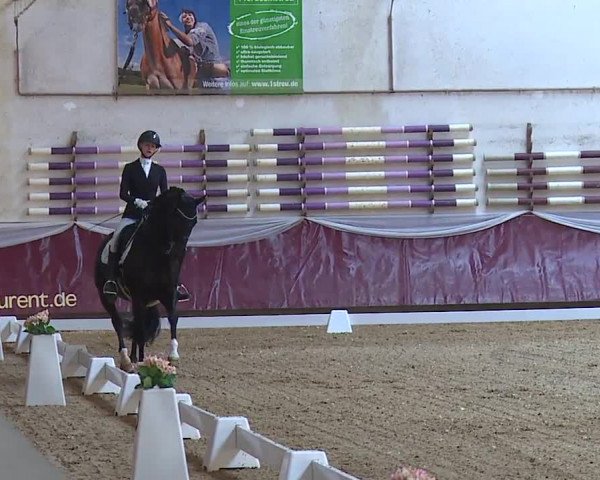 Reitturnier Eicherloh RH Laurent/Obb. 2024