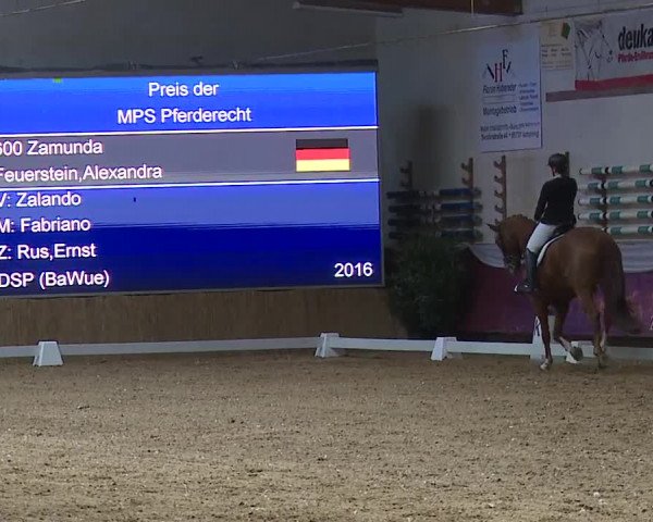 Reitturnier Eicherloh RH Laurent/Obb. 2024