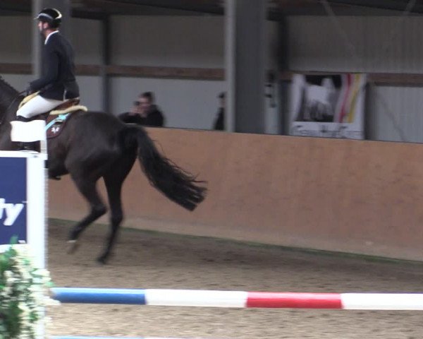 Reitturnier Schlieckau 2024
