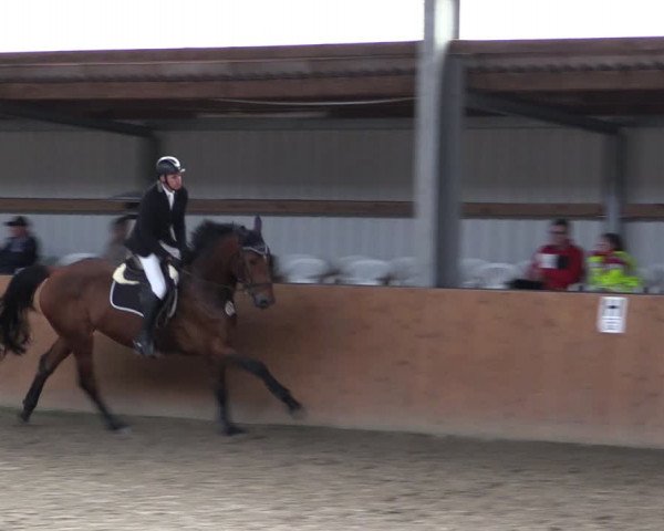 Reitturnier Schlieckau 2024