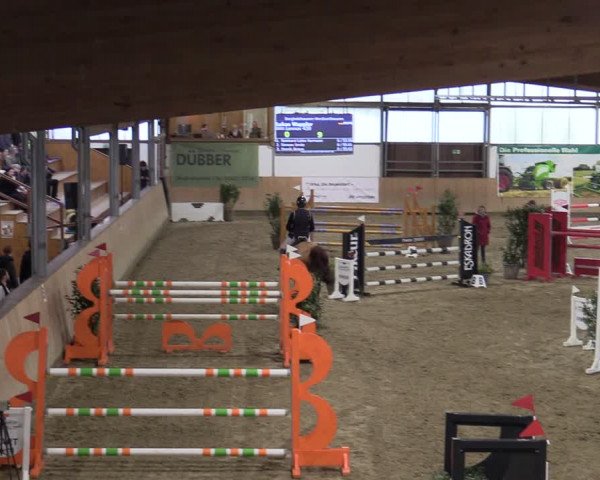 Reitturnier Borgholzhausen-Westbarthausen 2024
