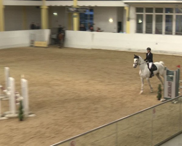 Reitturnier Stadl-Paura 2024