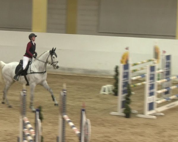 Reitturnier Stadl-Paura 2024