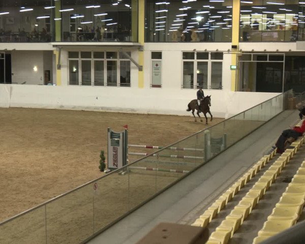 Reitturnier Stadl-Paura 2024