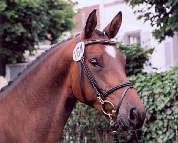 broodmare Giulia (Trakehner, 2007, from Cadeau)
