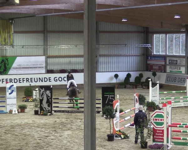 Reitturnier Goch 2024