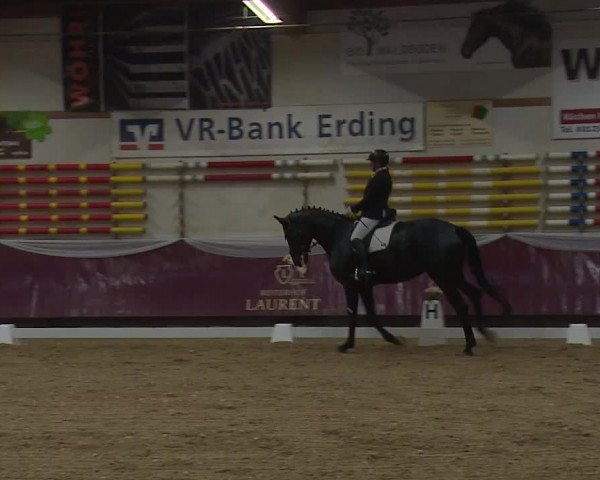 Reitturnier Eicherloh RH Laurent/Obb. 2024