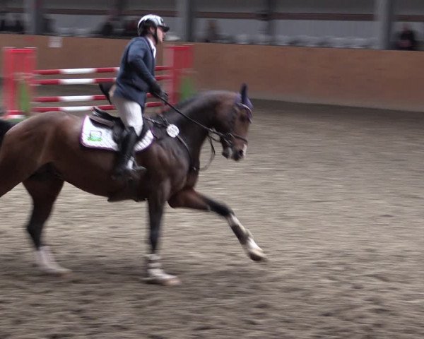 Reitturnier Schlieckau 2024