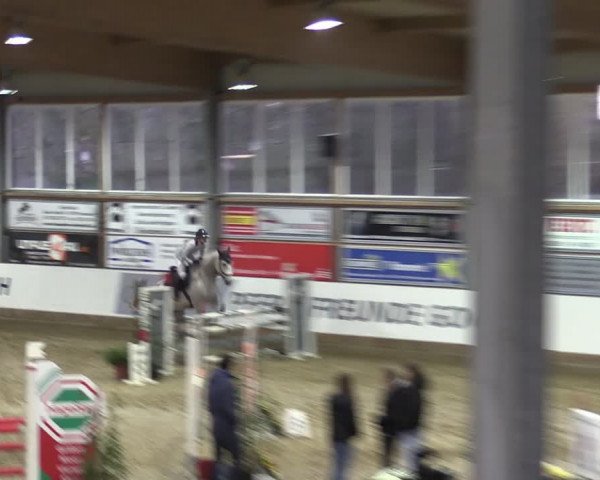 Reitturnier Goch 2024