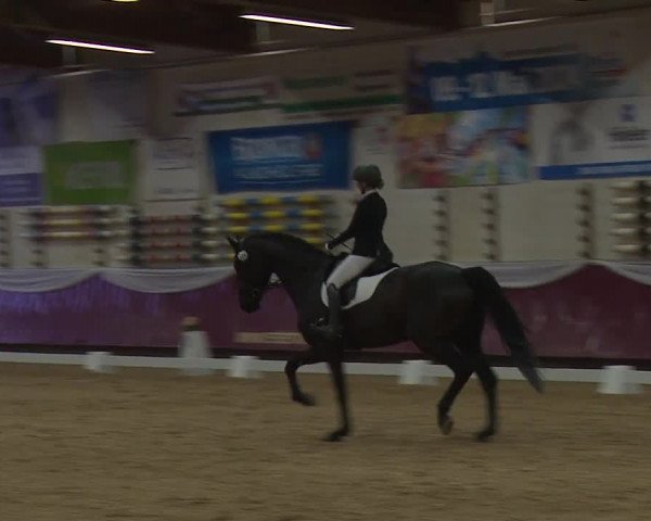 Reitturnier Eicherloh RH Laurent/Obb. 2024