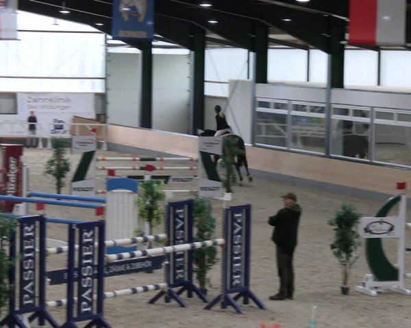 Reitturnier Borken 2024