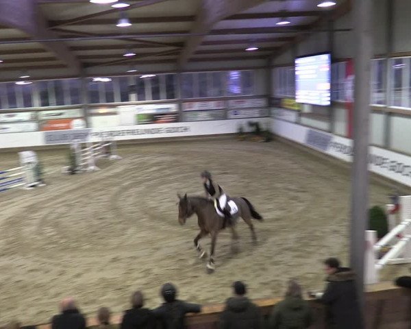 Reitturnier Goch 2024