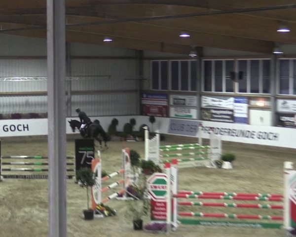 Reitturnier Goch 2024
