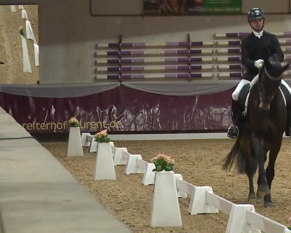 Reitturnier Eicherloh RH Laurent/Obb. 2024