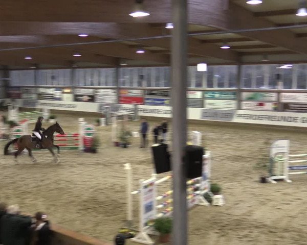 Reitturnier Goch 2024
